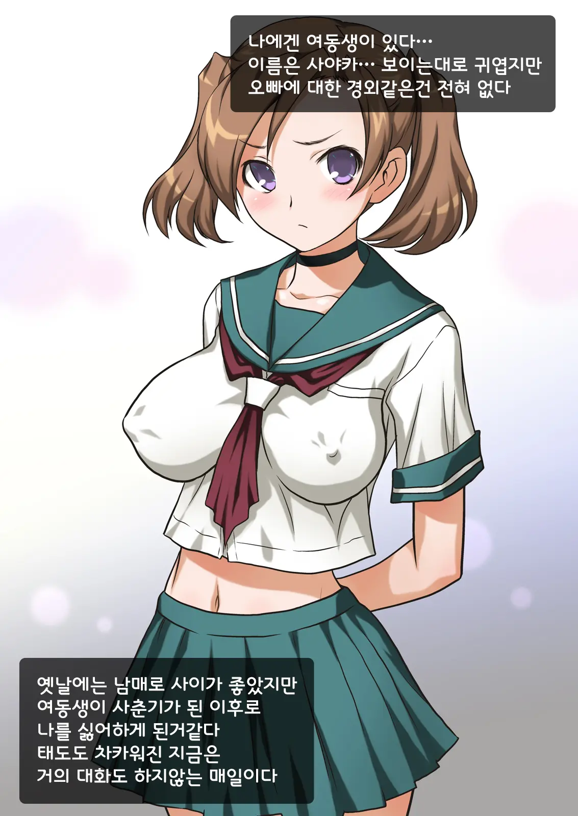 Imouto Wa Nama Onaho ~Sayaka Wa Onii-Chan Senyou Sei Gangu~
